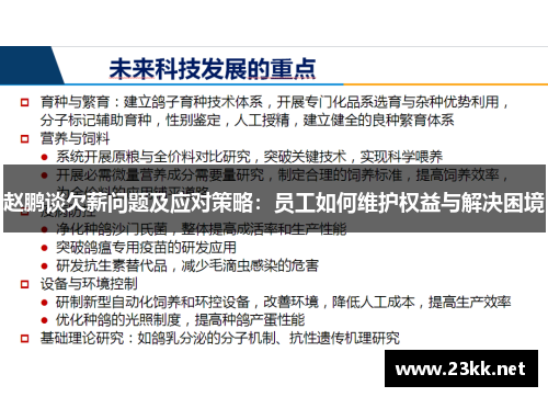 赵鹏谈欠薪问题及应对策略：员工如何维护权益与解决困境